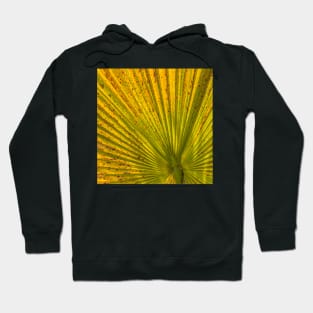 Palm Hoodie